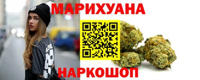 тгк Можга